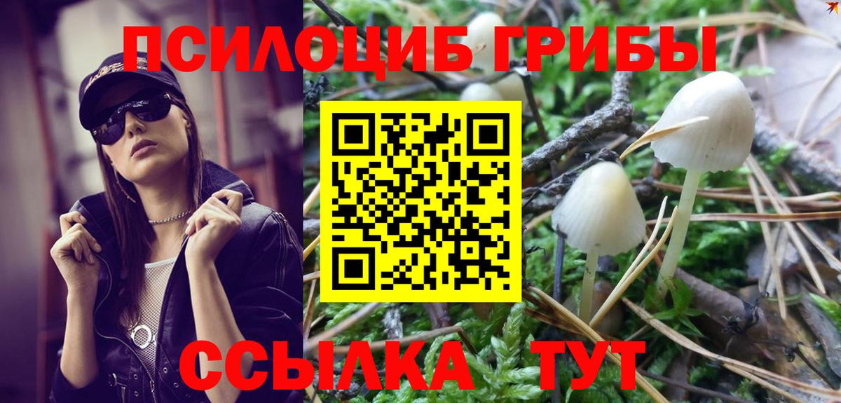 Псилоцибиновые грибы MAGIC MUSHROOMS Губкин