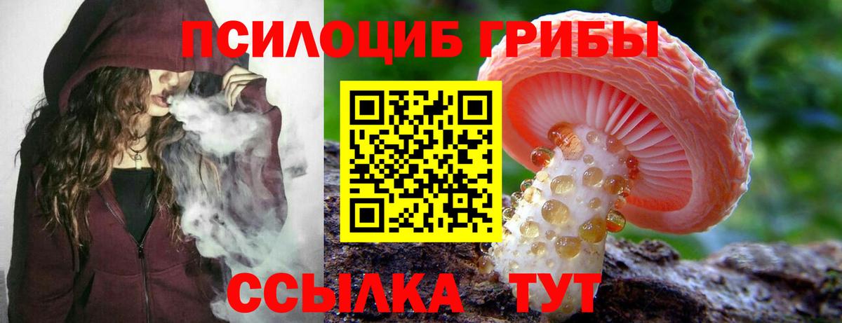 Галлюциногенные грибы GOLDEN TEACHER  Вход с VPN  Галлюциногенные грибы Psilocybine cubensis  наркота  Губкин 